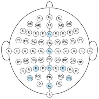 Figure 2 : choix des électrodes pour un montage à 8 canaux