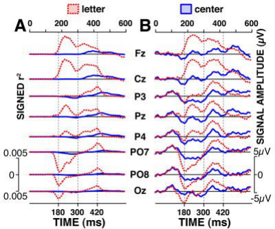 Figure 5 : réponses moyennes enregistrées par EEG