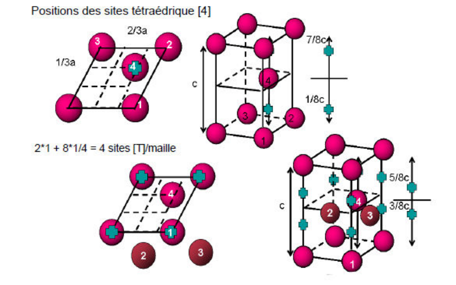 Positions des sites tétraédriques dans la maille HC : 2 × 1 + 8 × 1/4 = 4 sites par maille