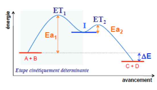 Profil énergétique d'une réaction en deux étapes : états de transition ET1 et ET2, intermédiaire I, énergies d'activation Ea1 et Ea2, étape cinétiquement déterminante