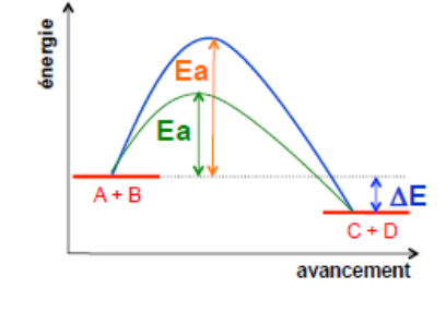 Profils énergétiques comparés d'une réaction sans et avec catalyseur : l'énergie d'activation Ea diminue, ΔE est inchangé