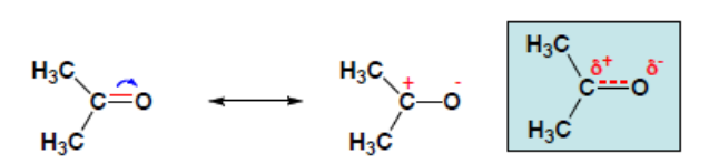 Formules limites de l'acétone : forme covalente, forme ionique C⁺-O⁻ et hybride de résonance avec charges partielles δ+ et δ-