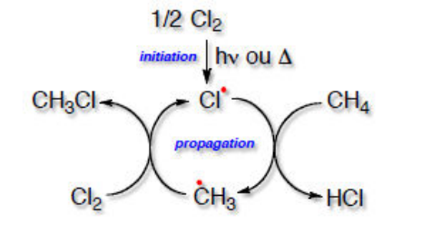 Cycle de propagation : Cl• arrache un hydrogène à CH4 pour former HCl et •CH3, qui réagit avec Cl2 pour former CH3Cl et régénérer Cl•