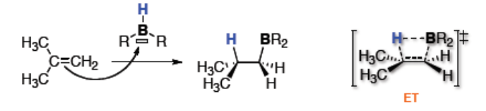 Hydroboration du 2-méthylpropène par R2BH : le bore se fixe sur le carbone le moins substitué, via un état de transition à quatre centres