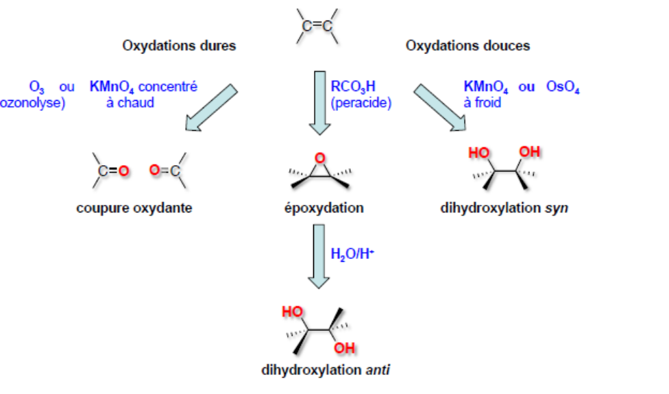 Oxydations des alcènes : oxydations dures (O3 ou KMnO4 concentré à chaud) donnant une coupure oxydante en dérivés carbonylés ; époxydation par un peracide RCO3H, suivie éventuellement d'une ouverture par H2O/H⁺ en dihydroxylation anti ; oxydations douces (KMnO4 à froid ou OsO4) donnant une dihydroxylation syn