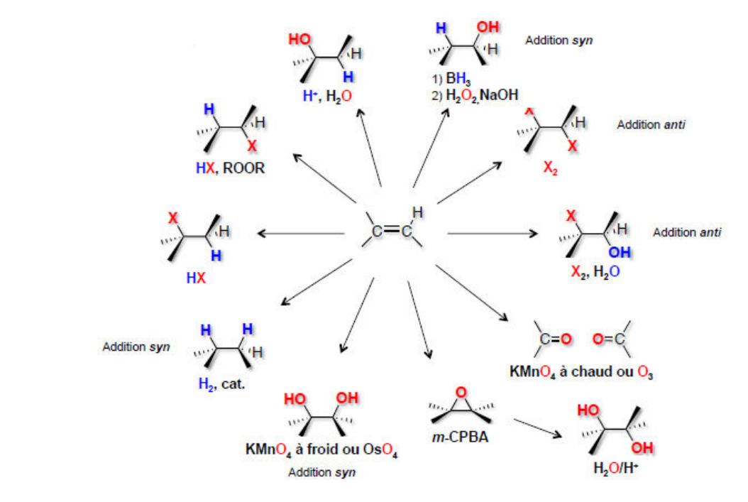 Résumé des réactions des alcènes : hydrohalogénation HX (Markovnikov) et HX, ROOR (anti-Markovnikov), hydratation, hydroboration-oxydation (syn), dihalogénation X2 (anti), formation d'halohydrine X2, H2O (anti), hydrogénation H2 cat. (syn), dihydroxylation par KMnO4 à froid ou OsO4 (syn), coupure par KMnO4 à chaud ou O3, époxydation par m-CPBA puis ouverture par H2O/H⁺