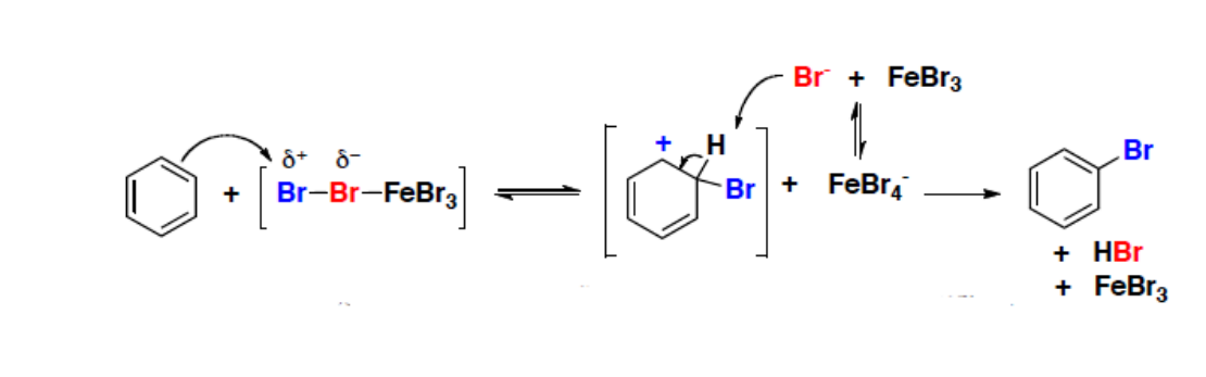 Mécanisme de la bromation : attaque du complexe polarisé Br-Br-FeBr3 par le cycle, intermédiaire de Wheland et FeBr4⁻, puis rearomatisation donnant le bromobenzène, HBr et FeBr3