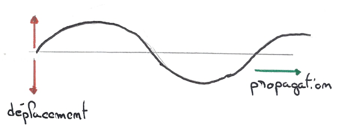 Onde transversale : déplacement perpendiculaire à la propagation