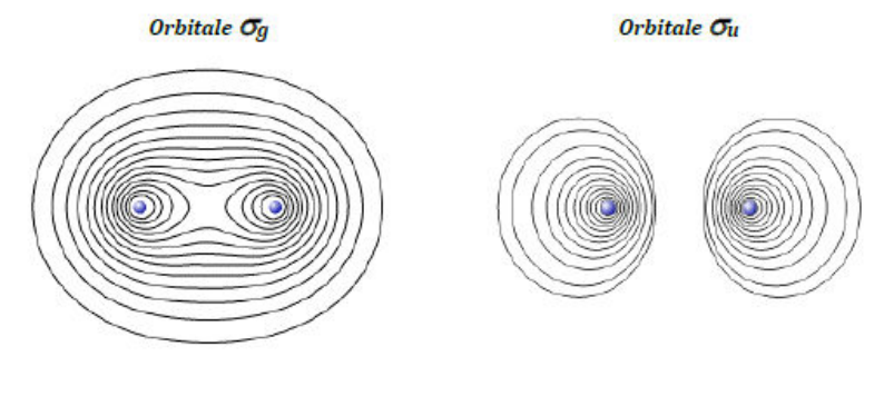 Courbes d'isovaleurs des orbitales σg et σu dans un plan contenant les deux noyaux