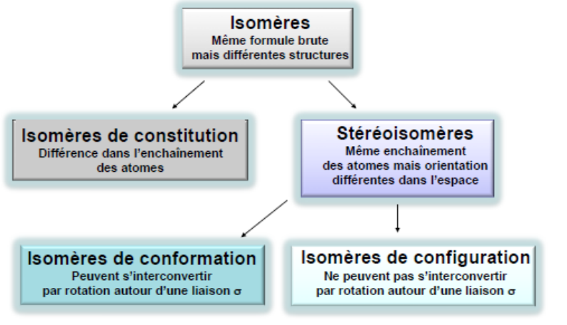 Classification des isomères : isomères de constitution (différence dans l'enchaînement des atomes) et stéréoisomères (même enchaînement, orientations différentes dans l'espace), eux-mêmes divisés en isomères de conformation (interconvertibles par rotation autour d'une liaison σ) et de configuration (non interconvertibles)