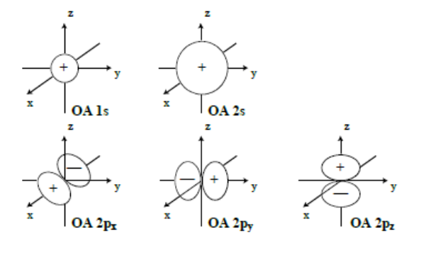 Représentation symbolique des OA 1s, 2s, 2px, 2py et 2pz