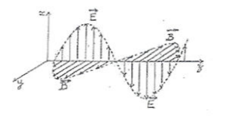 Onde polarisée rectilignement : E et B orthogonaux, de directions fixes, le long de l'axe de propagation