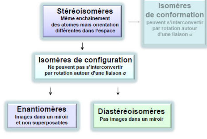 Classification des stéréoisomères : les isomères de configuration, qui ne peuvent pas s'interconvertir par rotation autour d'une liaison σ, se divisent en énantiomères (images dans un miroir et non superposables) et diastéréoisomères (pas images dans un miroir)