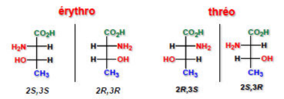 Projections de Fischer des formes érythro (2S,3S et 2R,3R) et thréo (2R,3S et 2S,3R)