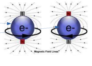 Les deux orientations du spin de l'électron