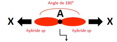 Deux hybrides sp à 180° autour de l'atome A