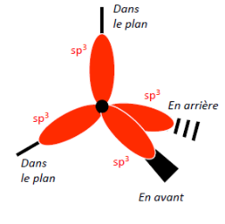 Quatre hybrides sp³ : deux dans le plan, une en avant, une en arrière