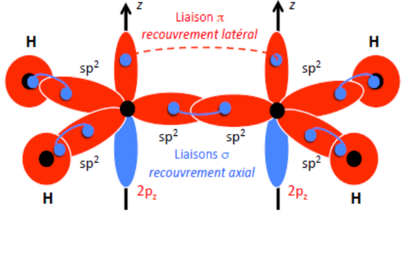 Liaisons σ par recouvrement axial des hybrides sp² et liaison π par recouvrement latéral des orbitales 2pz