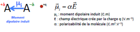 Moment dipolaire induit μi = αE, avec μi le moment dipolaire induit (C.m), E le champ électrique créé par la charge q (V.m⁻¹) et α la polarisabilité de la molécule (C.m².V⁻¹)
