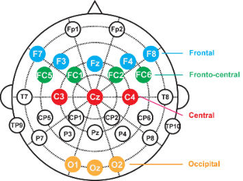 Figure 1.3 : placement des différentes électrodes pour un casque EEG, hors électrode de référence et ground