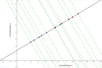 Figure 2.13 : projection des données sur le nouvel axe (2)