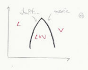 Courbe de saturation : courbe d'ébullition et courbe de rosée autour du domaine L + V