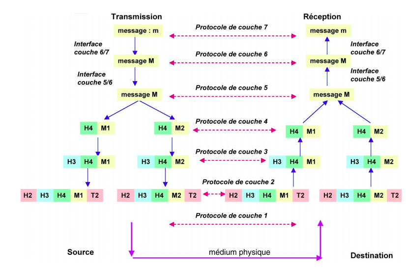 schema